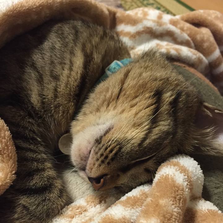 75b3cb7d 33dd 4b90 aba8 d7d9d1560a76