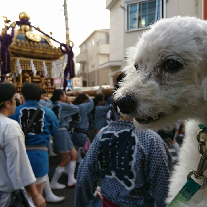 75b402f9 0882 467a bf6e 79435b4cc01d