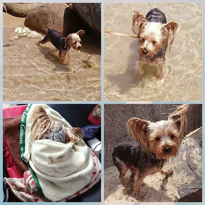 75b46a11 2c16 415b 8212 daae13c6805c