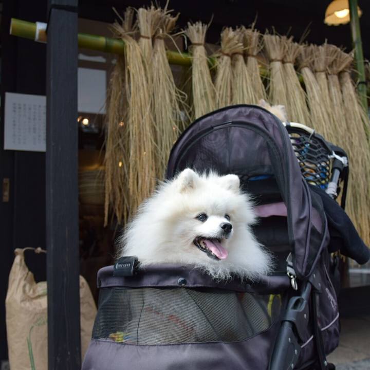 75b4a23d 5023 46c2 9290 bdd1f0963de9