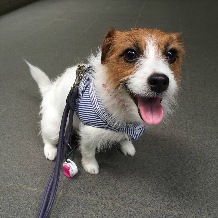 75b4b2c0 f9b7 4753 8aa9 4fb13c44e28e