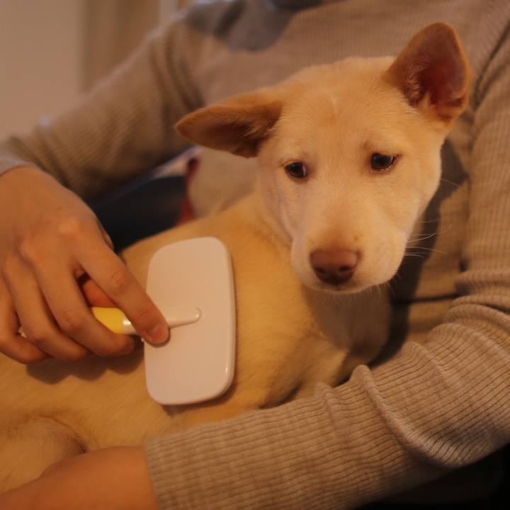 75b4e24b 369d 40f1 90cb fe6c666aa2df