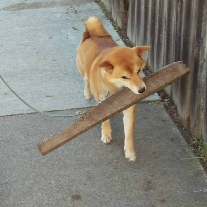 75b50a8e 4266 4b2c b302 de89f86ed7f5