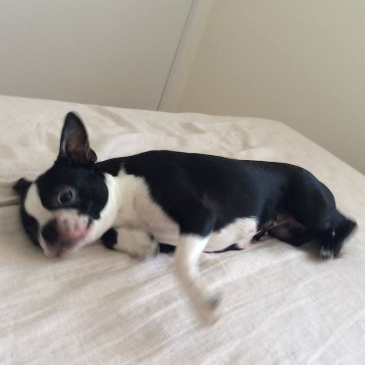 75b5c2e3 9dbf 4ffb 8e62 d0c7b43a80f1