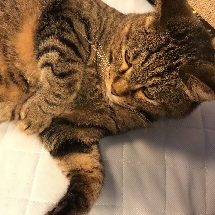 75b5c99d 66d0 4957 a650 b455bbed36b9