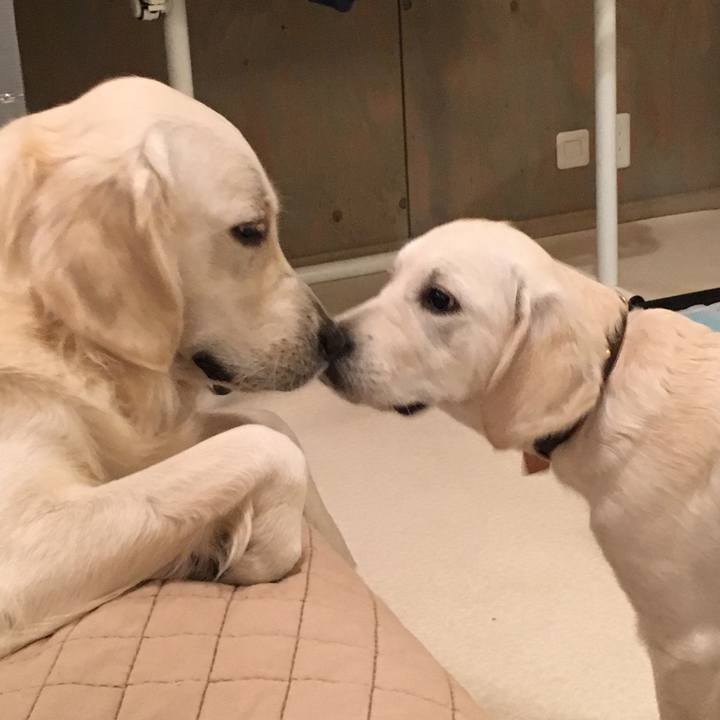 75b68c01 7bae 4a88 98f1 87e1f4182ade