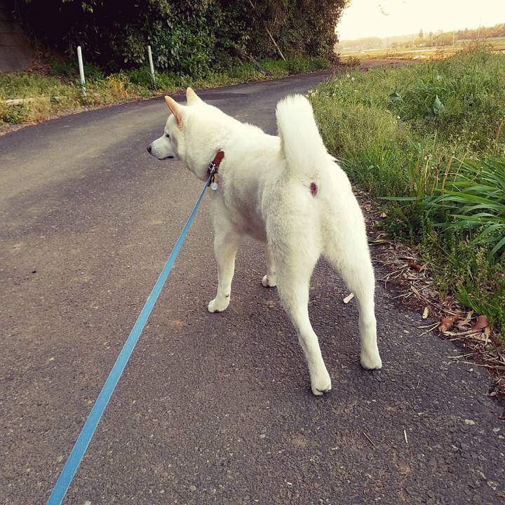 75b6b5b4 178e 4b55 93ce f38f73737e41