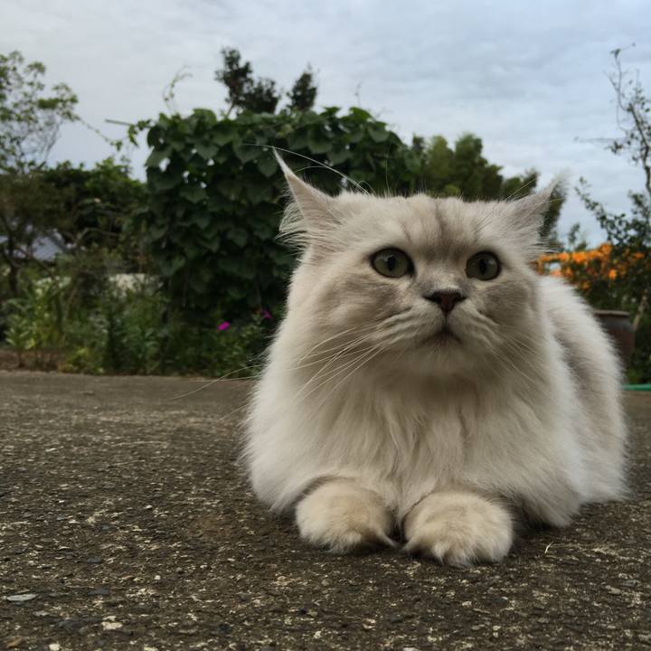 75b6ef3d 7132 427a a612 1ab9d2925a37