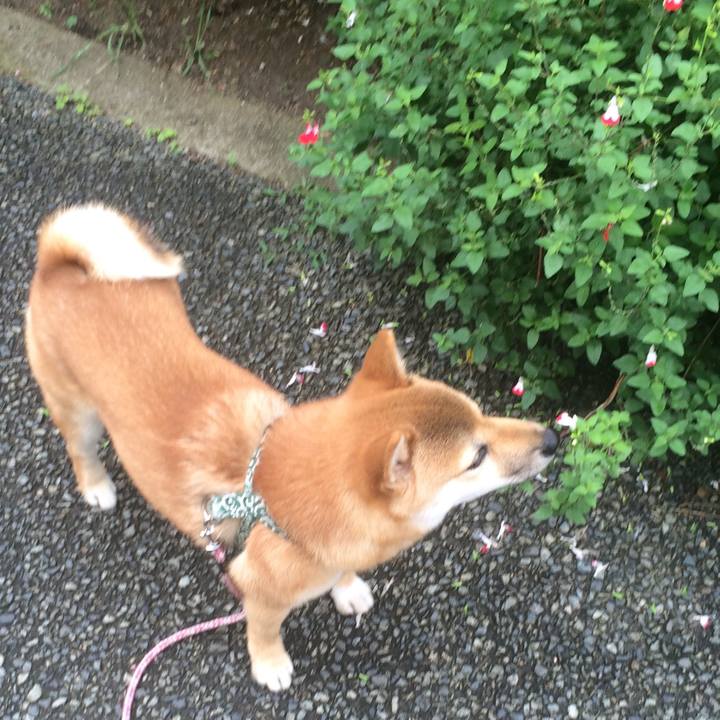 75b7404c f537 4707 8d8f f35513663bdc