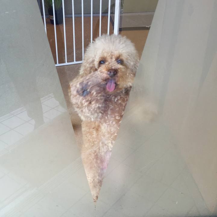 75b77a77 c944 4b30 a5db 6f3ca4ac0fbf