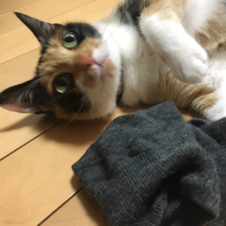 75b7ef0d fc7d 497d 8aa8 a77ce64074e2