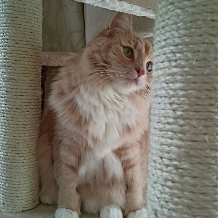 75b81f5d 3722 4a6a b4dd 4d09f2450363