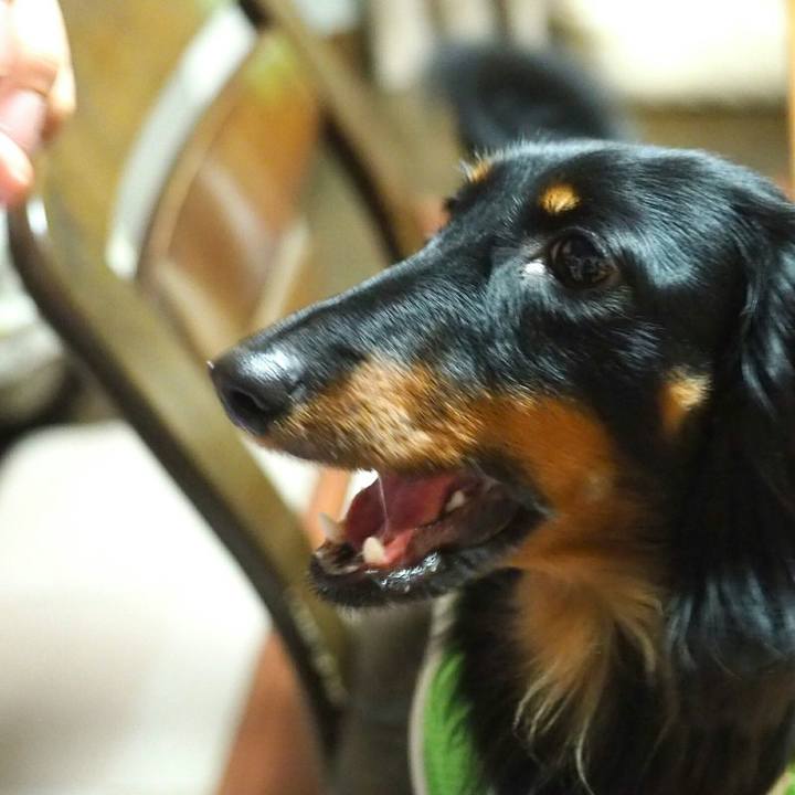 75b865ea 5f69 4bbf a209 d4f1f1b6679e