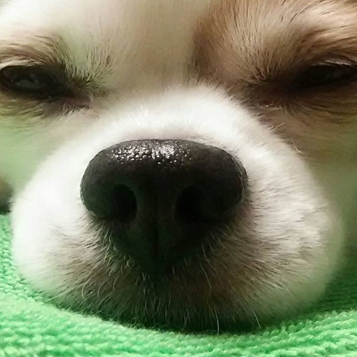 75b8b141 a24f 4880 8d6d 5dfe3b040811