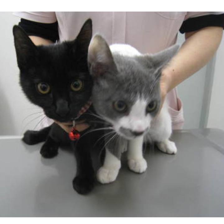 75b903ec 1e93 427f b3e5 bcdcdfed87e6