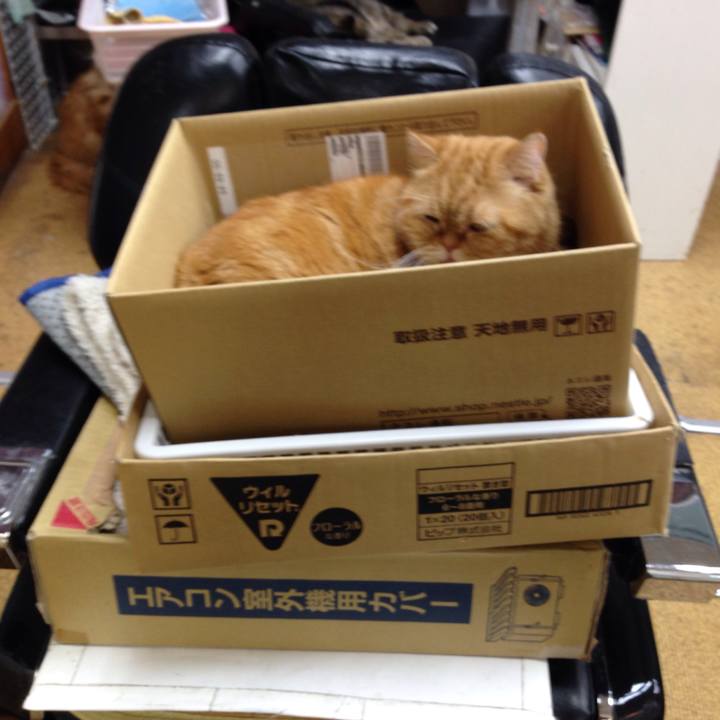 75b95f82 6fde 4a6b a010 339d1204003d