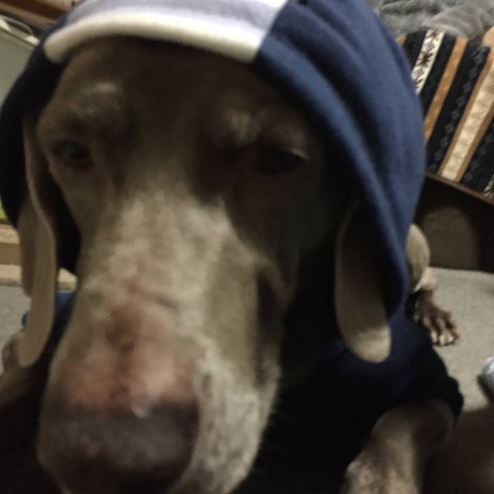 75b98237 fca0 47ba b512 1c383efa2dc8