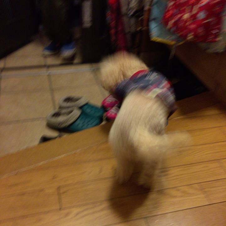 75b9a054 1035 4e2c 93ed 62e7cfedc83a