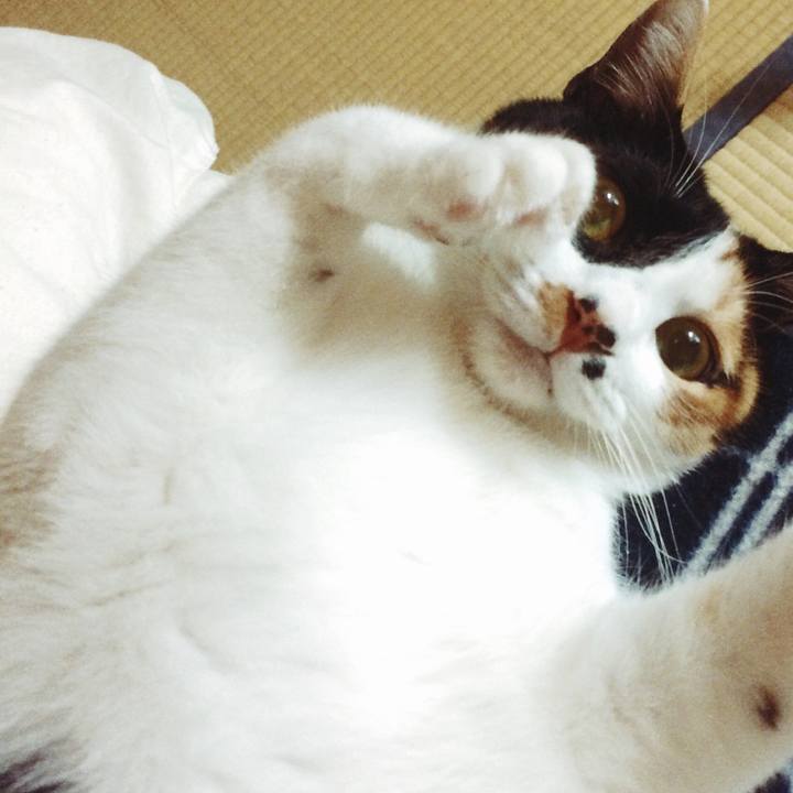 75b9c20f f1ac 4de9 9734 0457c7ae10d4