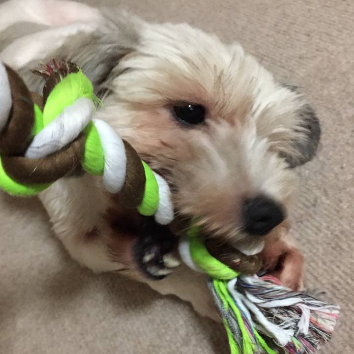 75b9ed4b f61d 4ccf 8789 973756ad299a