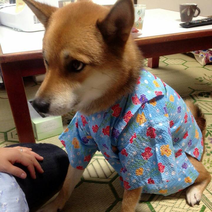 75ba194f 5b37 40a9 b865 97108cf75f97