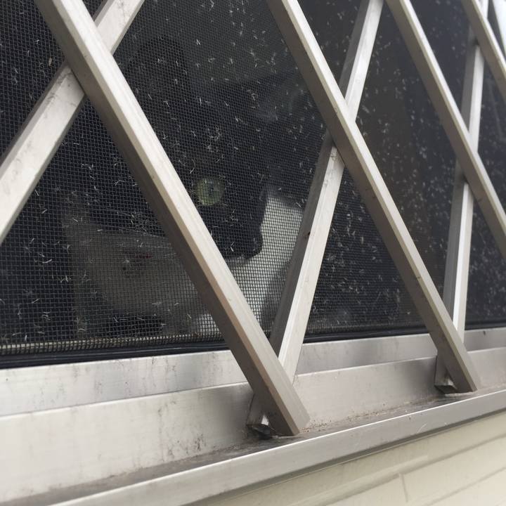 75ba2342 7866 4eba 9130 2b899a9f9d9c