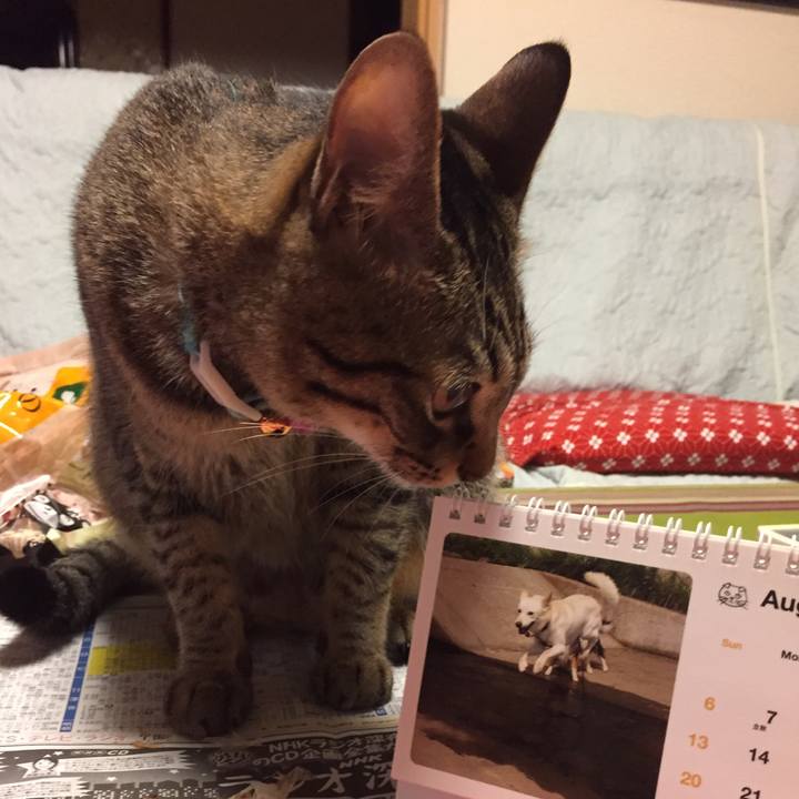 75ba8e11 5326 4d6e 8930 e7a04876ff6d