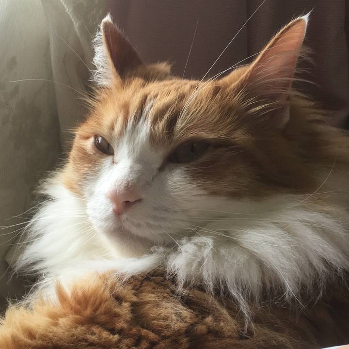 75bb318c 556c 4a4b 977d 2ea8068d0041