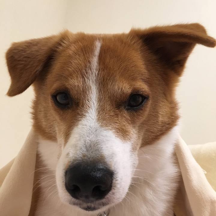 75bb3404 e0c6 49f0 8e08 b6867a35d33a