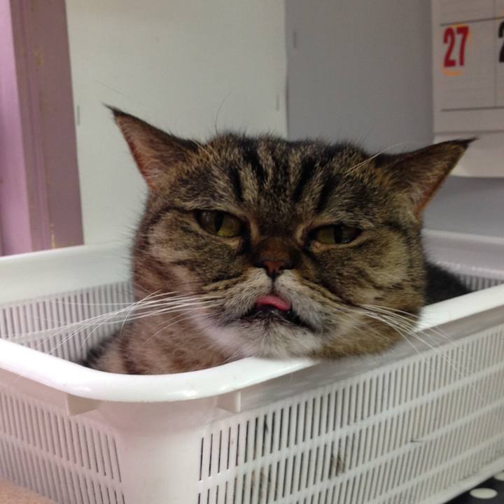 75bb9af4 af8e 4abc 8812 abb4e41c968e