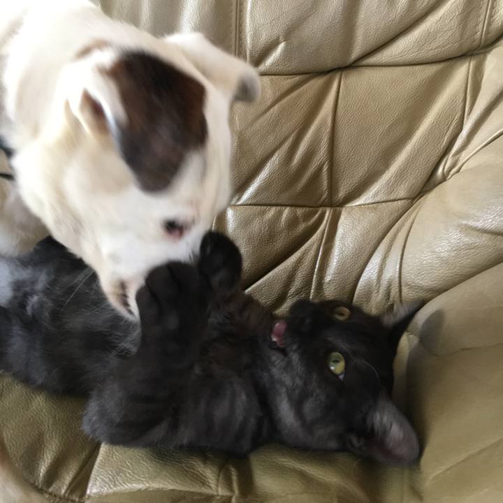 75bbc603 aa3d 44f0 a942 501822534cb7