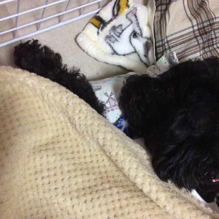 75bc42eb 6aee 4e68 b106 2a9b0eca72da