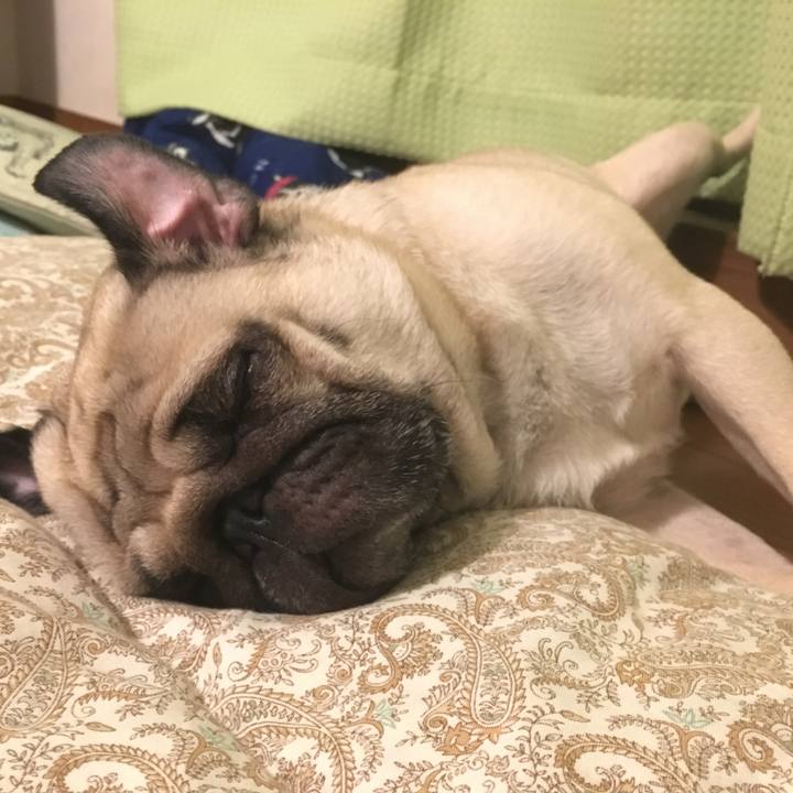 75bc4da7 e461 4b5b b292 ff9bdfc8f399