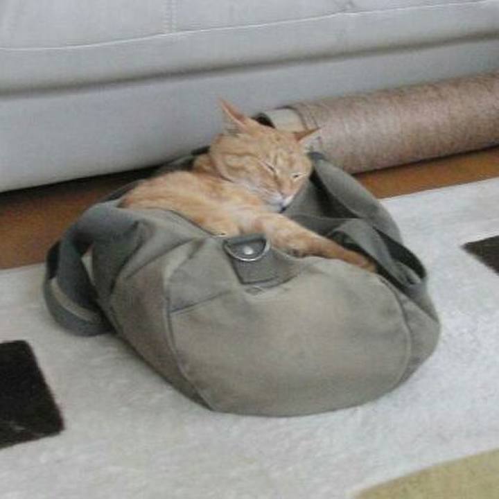 75bc5795 c110 4df4 9945 f1a227f16deb