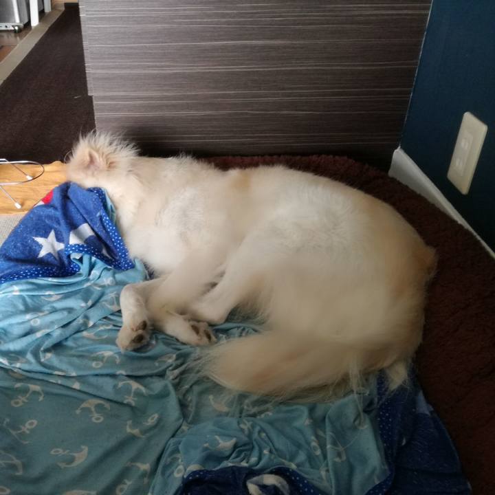 75bcacea 4fda 4676 ad35 1a3ecd173f9f