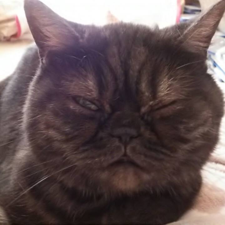 75bcaee7 b633 4ec0 8fe3 9842f751dd07