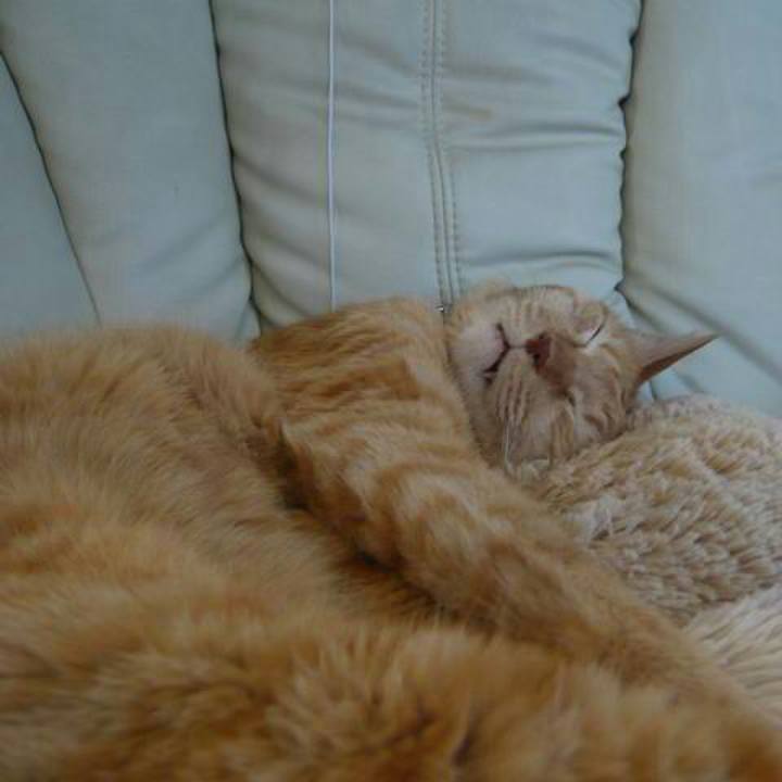 75bd1b7c 144e 479b 9fdf 58023190ce4c