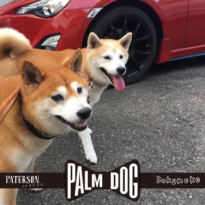 75bd3359 5fb4 4821 9aaf 2e18cd8cb04e