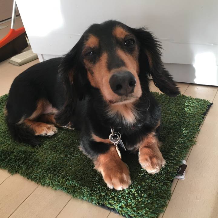 75be5b6e 15a8 4591 aaf4 880c7ec24ac5