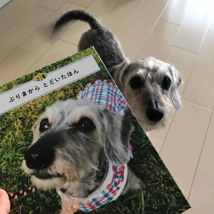 75bf4618 0dc8 415d 869a 7d7f31fa1e13