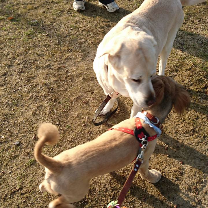 75bf9e20 795f 482f abbb e3120f610745