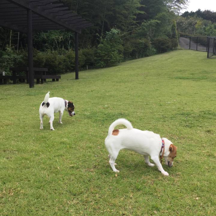 75bfcc3a 20c0 48d5 bb80 0fe6d102d5fa