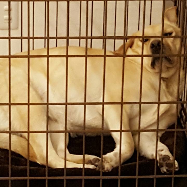 75bffab3 3bf7 465b 8747 c555f315ea02