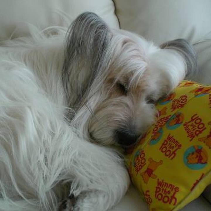 75c06500 587c 4009 8b9f f2a798853305