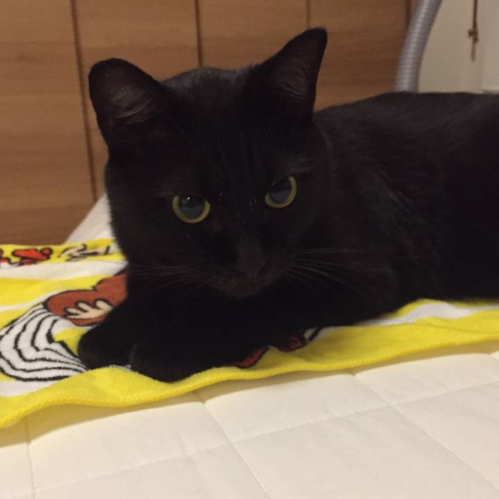 75c0c390 9543 40a9 86a0 943048edf9db