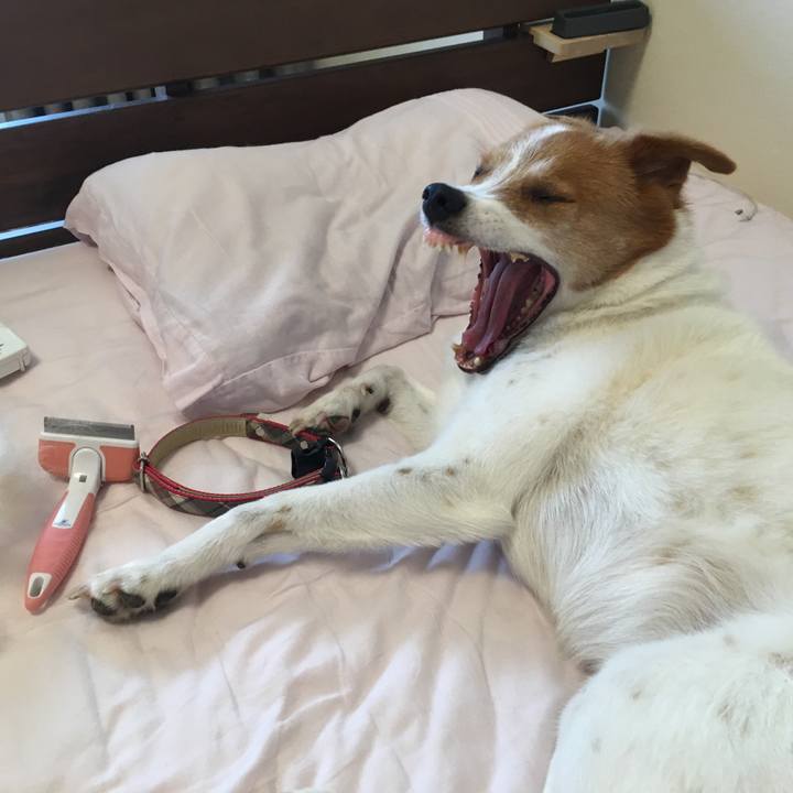 75c0ffb8 e6c3 4ded 8fe6 fde7f2deea66