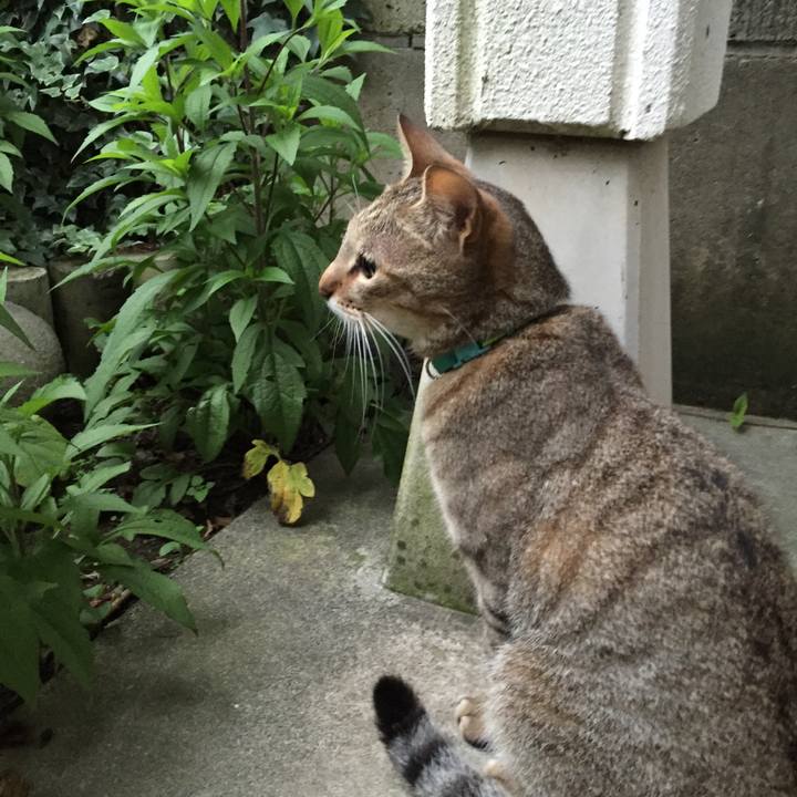 75c1152d 8439 4e9e 844d 27203e41807c