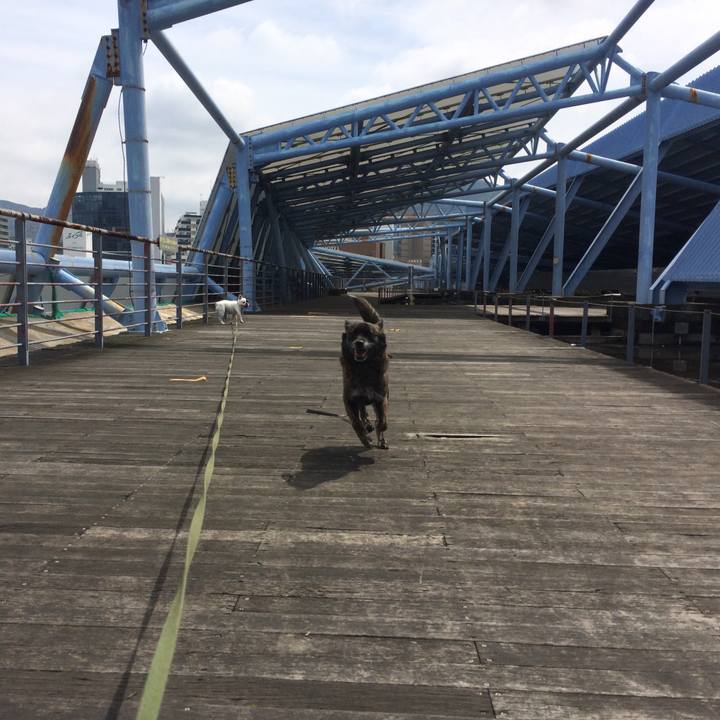 75c13590 7622 4063 bafd 3f285ff2bbbd