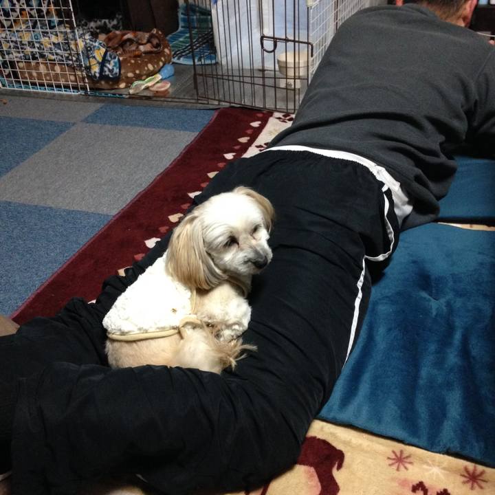 75c15bbd 1cdc 4226 970a cf617bdba390