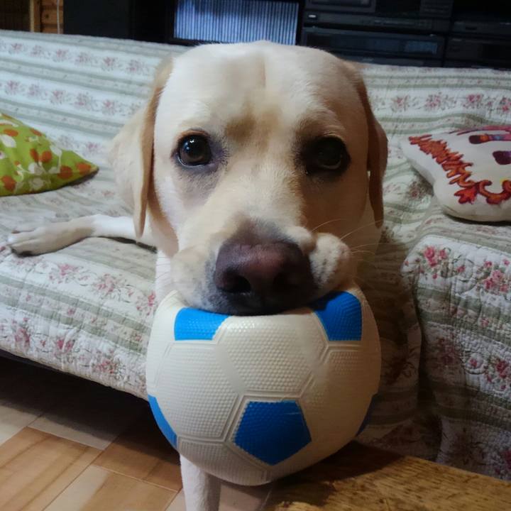 75c21128 77ce 401a 82fc 047f0cbcf3e9